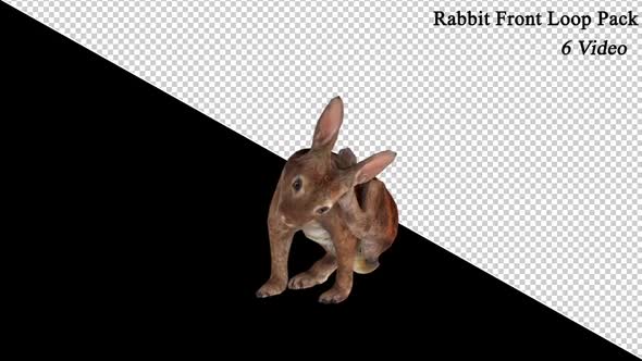 Rabbit Loop Video Pack alt