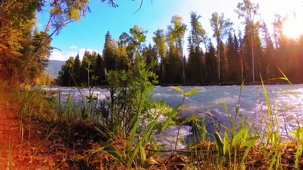 Meadow at Mountain River Bank