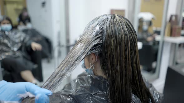 Hairdresser Applies Dye on Customer's Wet Hair for Coloring