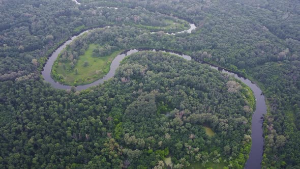 Aerial View Over the River Which is on the Green Forest