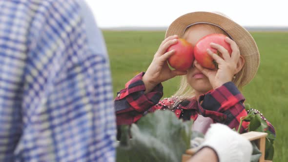 Mother and Daughter Harvesting Fresh Tomatoes. Little Girl Helping Her Mother with Tomato in the