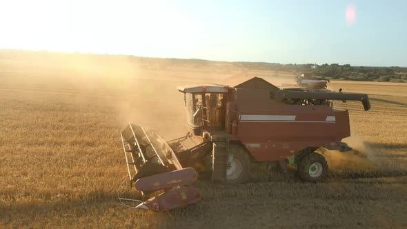 Combine Harvester at Work on the Harvest Against the Background of a Sunset Sky