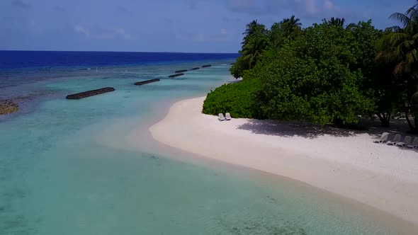 Drone sky of island beach wildlife by blue ocean with sand background