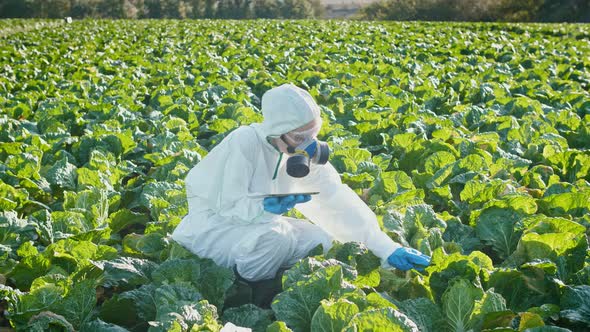 A FemaleFarmer Agronomist in a Protective Suit with a Respirator on herFace uses Modern Technologies