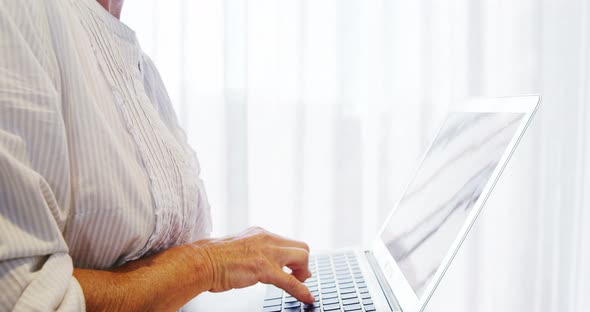 Female business executive using laptop