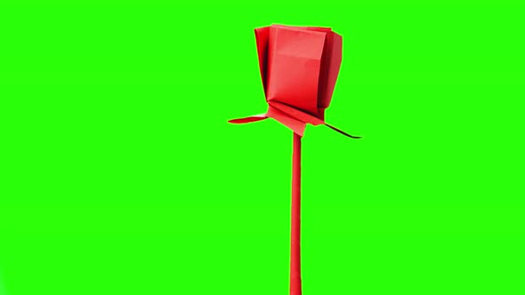 Red Origami Tulip on Green Screen.