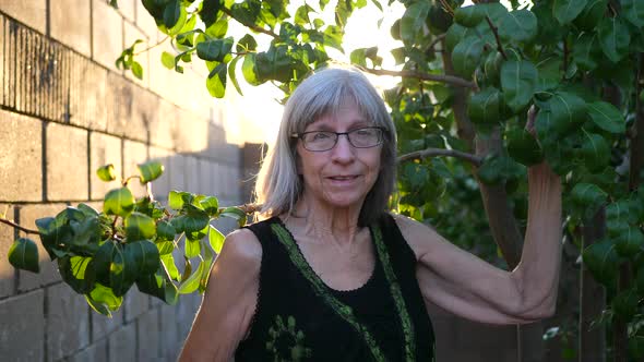 An elderly woman smiling with joy clipping branches and pruning a pear fruit tree in her orchard gar