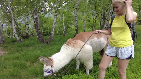 Tourist with Alpaca on Comino Mount