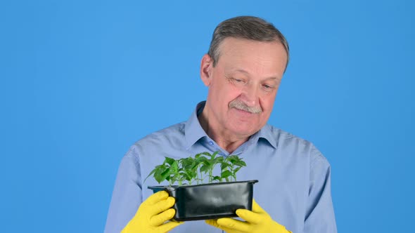 male farmer takes care of young plants