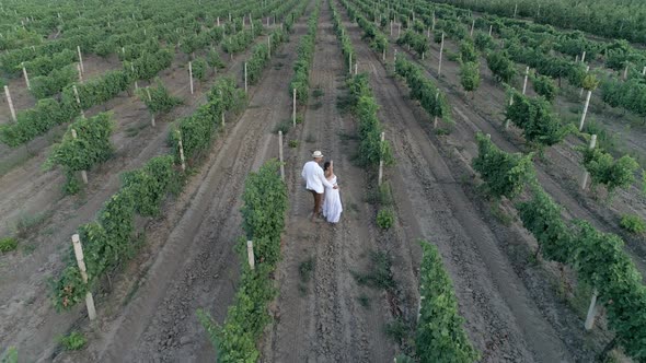 Romantic Farm Couple Dancing and Running at Vineyard in Slow Motion, Aerial View