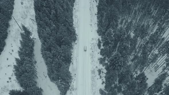 Aerial View From Drone on Car Driving Through Winter Snow Covered Forest