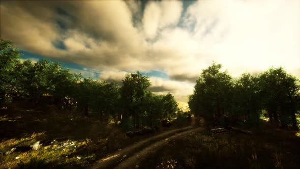 Heavy Rain Clouds Over the Field at the Sunset alt