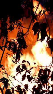 Area of Fire Bushfire Burning at Night Time with Lot of Smoke Rising Into the Air