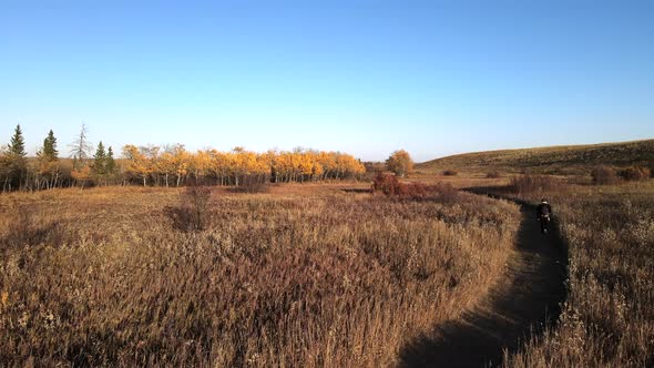 Drone showing a walker walking in the countryside in fall season. Ocher colors in Central Alberta du