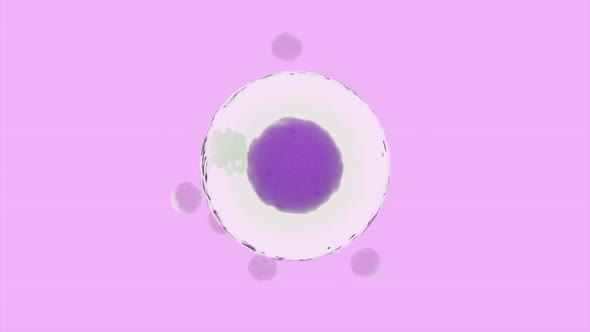 Balls randomly move around sphere