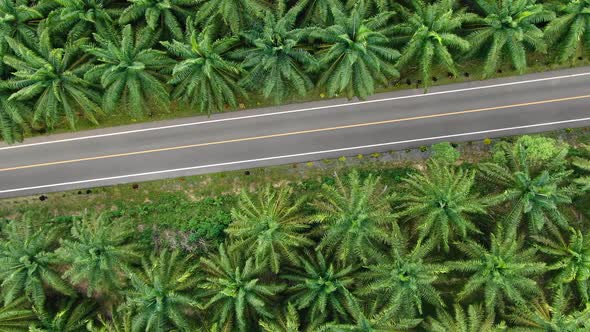 Aerial view of road through tropical nature in Thailand