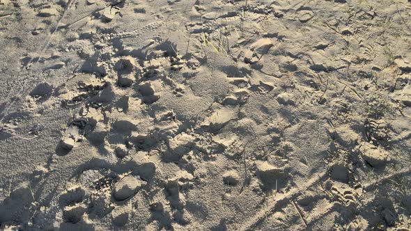 Sand beach near the sea