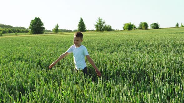 Child is Spinning Around Himself on the Background of a Green Field with Wheat Spikelets