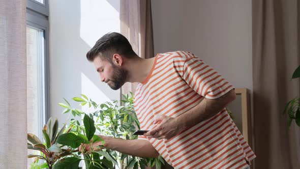 Man with Smartphone and Flowers at Home