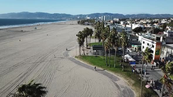 Palmtrees - Venice Beach - Drone Shot
