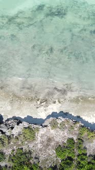 Vertical Video of the Ocean Near the Coast of Zanzibar Tanzania