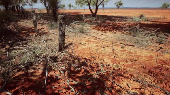 Pampas with Barbed Wire Fence and Dry Bushes