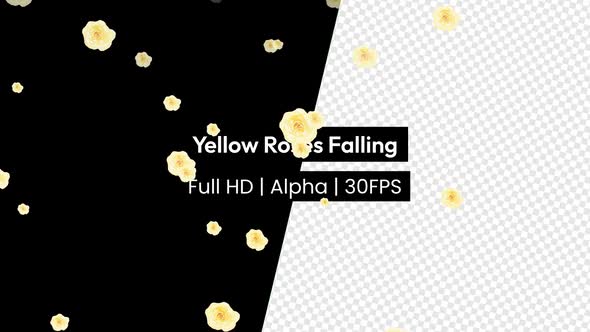 Yellow Roses Falling With Alpha