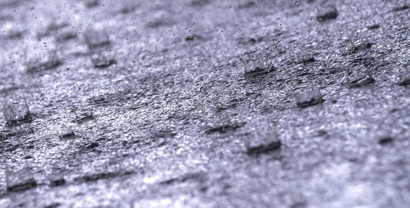 Rain