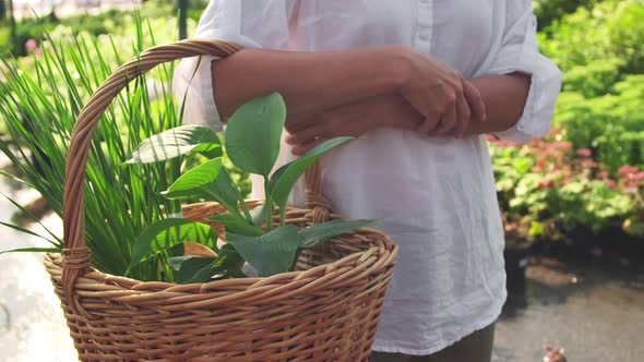 Female Gardener With Plants In Wicker Basket