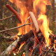 Sausages on a Campfire - VideoHive Item for Sale