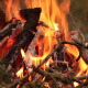 Burning Open Fire - VideoHive Item for Sale