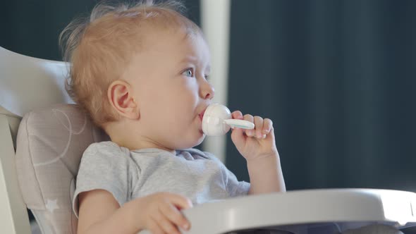 Cute Kid with Food Nibbler Baby Fruit Pacifier Sitting in Booster Seat Fixed on Top of Dining Chair