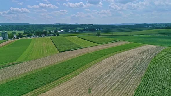 Aerial Traveling View of Corn Fields and Harvesting Crops, with Patches of Color