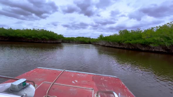 Airboat Ride in the Everglades