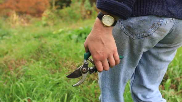 Woman Walking in the Woods with a Gardening Shear