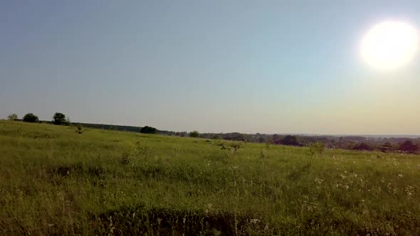 Beautiful vast green field during summer time in Russia