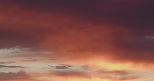 Pink Sunset on a Background of Clouds