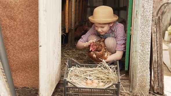 a Little Girl Holds and Strokes a Red Hen Near a Nest of Eggs