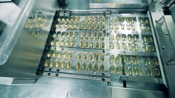 Capsules with Liquid Move on a Conveyor. Medication Production Line at a Pharmaceutical Facility