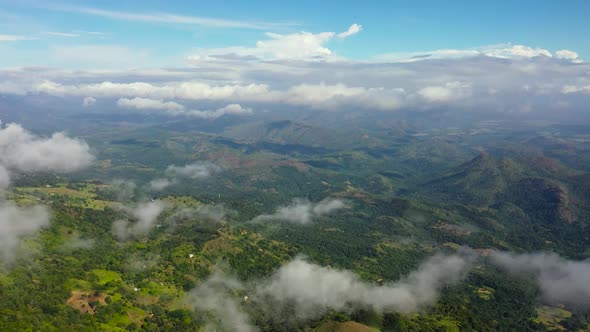 Green Rainforest and Jungle in the Mountains of Sri Lanka View From Above