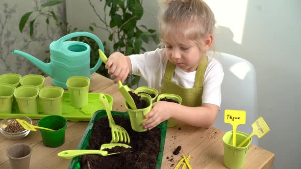 a Little Blonde Girl is Engaged in Planting Seeds for Seedlings Pouring Earth Into Pots for Growing