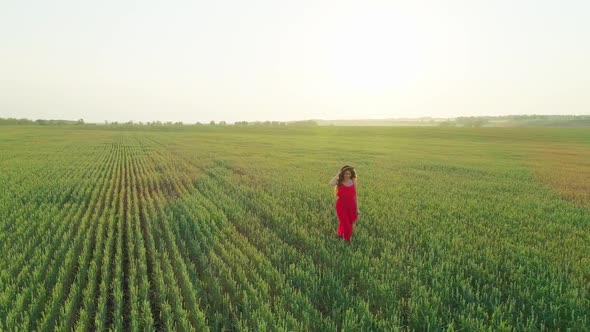 Aerial Video of a Girl in a Red Dress in a Wheat Field at Sunset