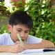 The Boy Doing Home Work. - VideoHive Item for Sale