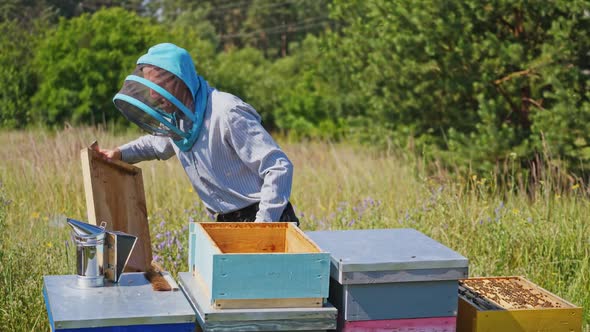 Bee master on apiary