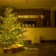 Christmas Tree in Livingroom Dolly Move - VideoHive Item for Sale