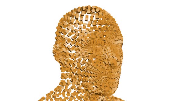 Human Head From Rotating Cubes