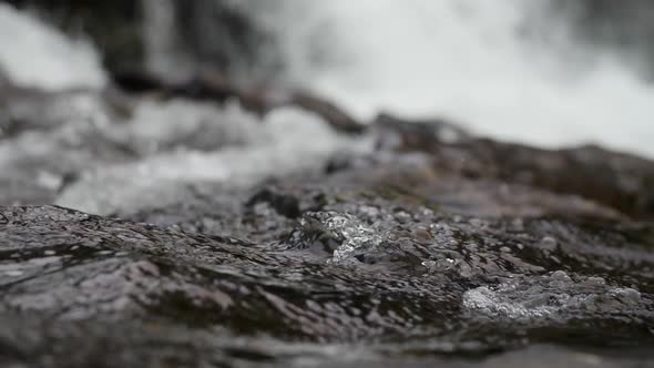 A slow motion macro shot of water flowing with Lucia falls looming in the background in Vancouver, W