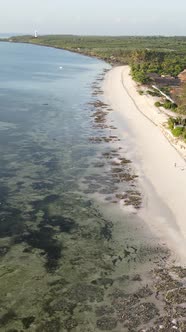 Beach on the Coast of Zanzibar Island Tanzania