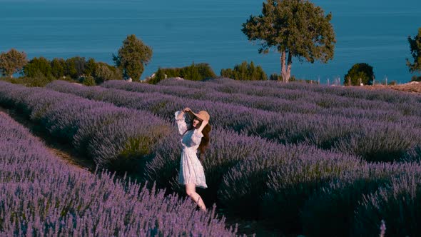 Traveler in Lavender Field