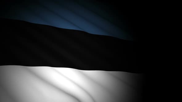 Estonia Flag Blowing in Wind